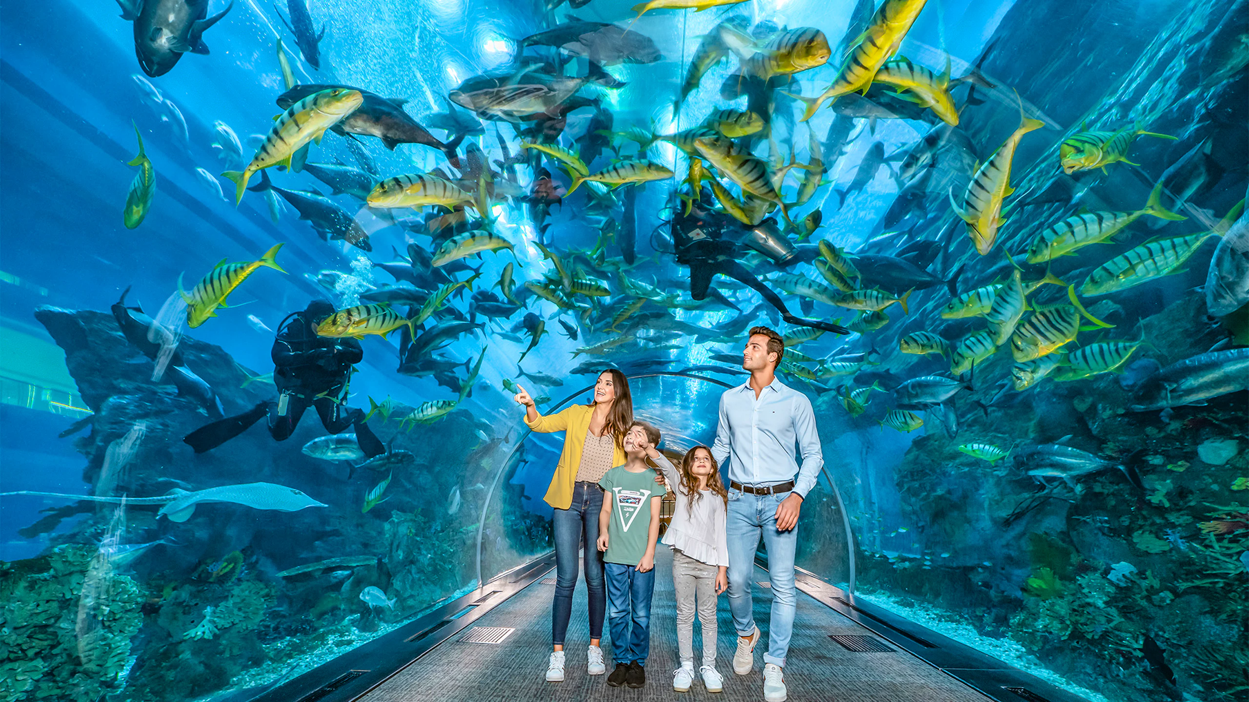 Dubai Aquarium And Underwater Zoo  Ticket