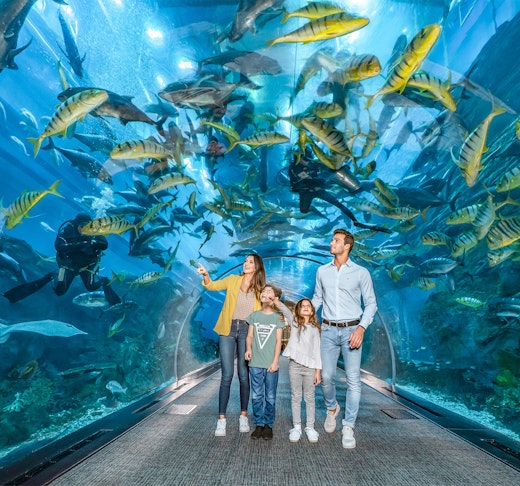 Dubai Aquarium And Underwater Zoo  Ticket