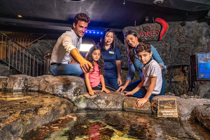 Dubai Aquarium And Underwater Zoo  Category