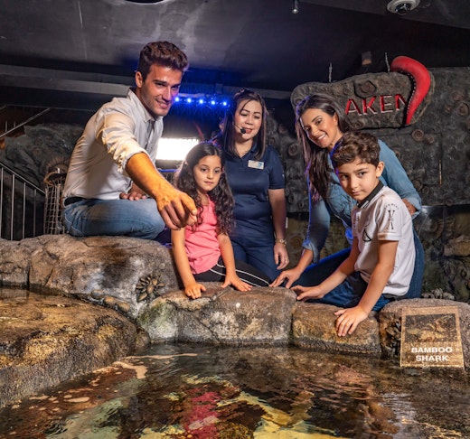 Dubai Aquarium And Underwater Zoo  Category