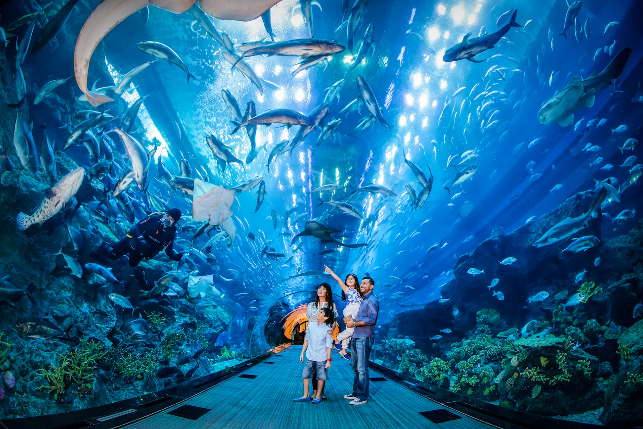 Dubai Aquarium And Underwater Zoo  Price