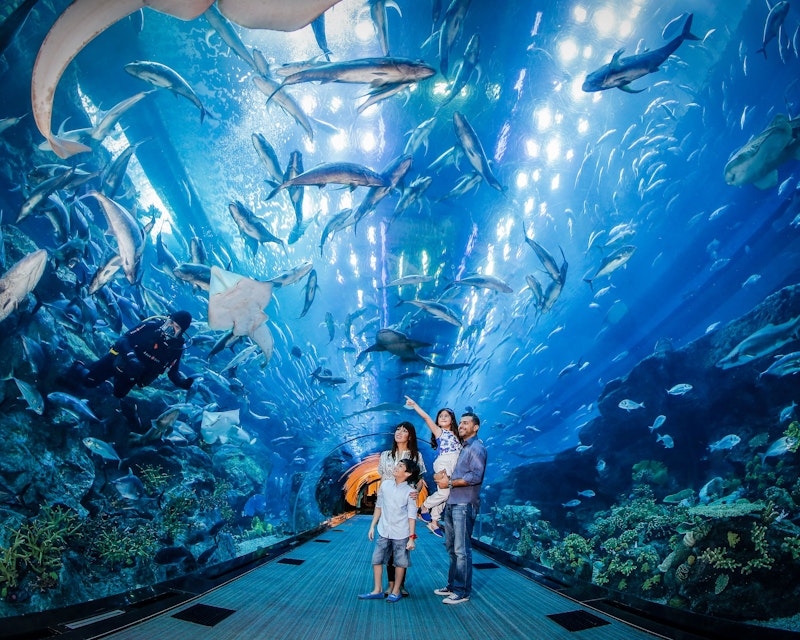 Dubai Aquarium And Underwater Zoo  Price