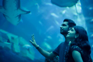 Dubai Aquarium And Underwater Zoo Tickets