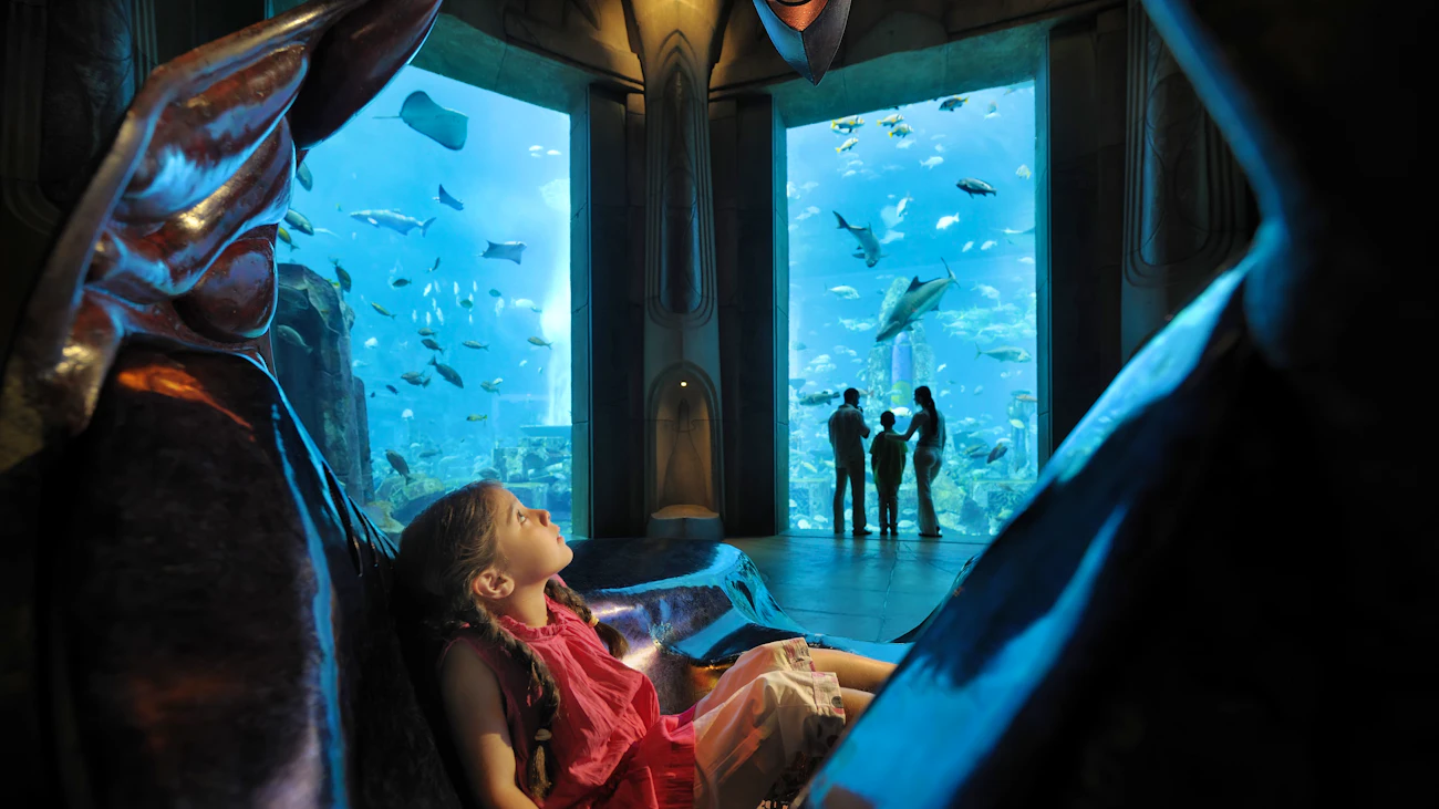 Aquaventure + Lost Chamber Aquarium  Thrillark