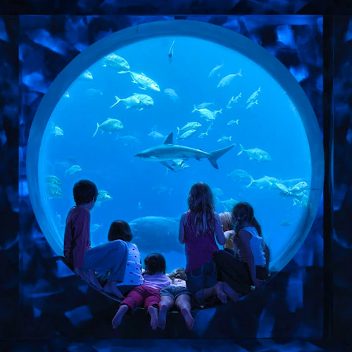 The Lost Chambers Aquarium 