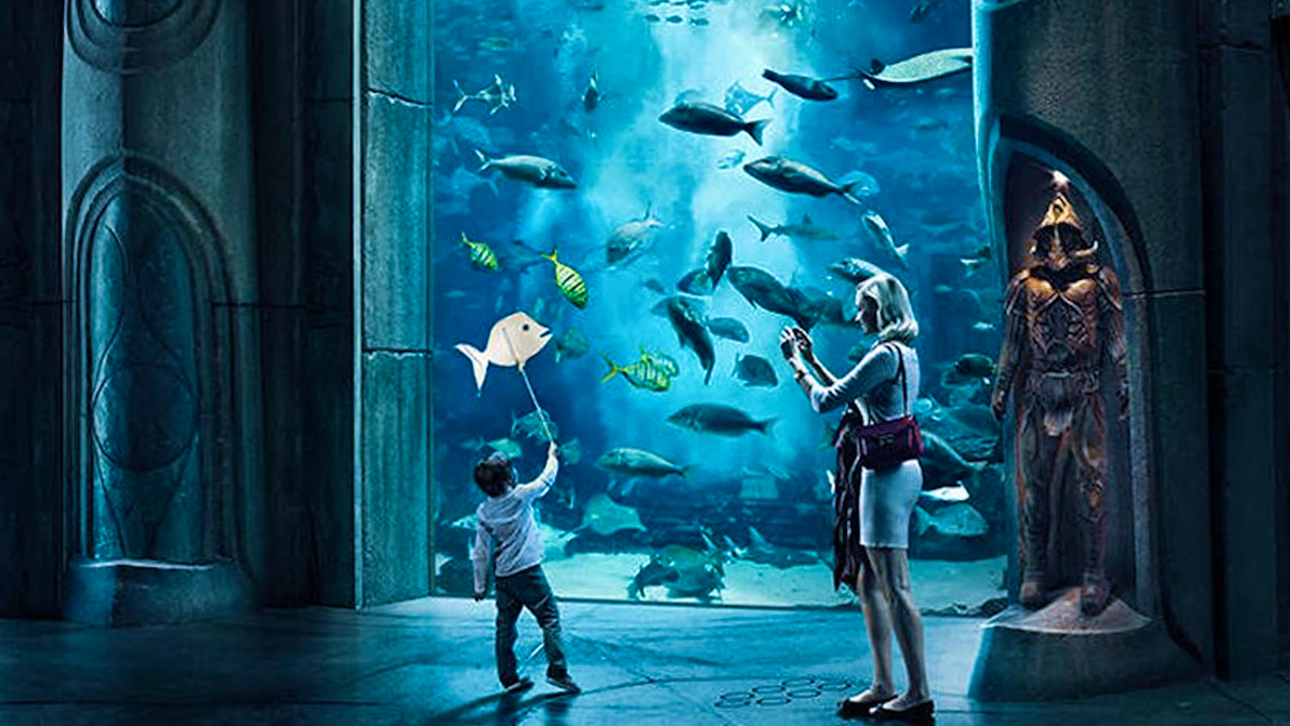 The Lost Chambers Aquarium  Discount