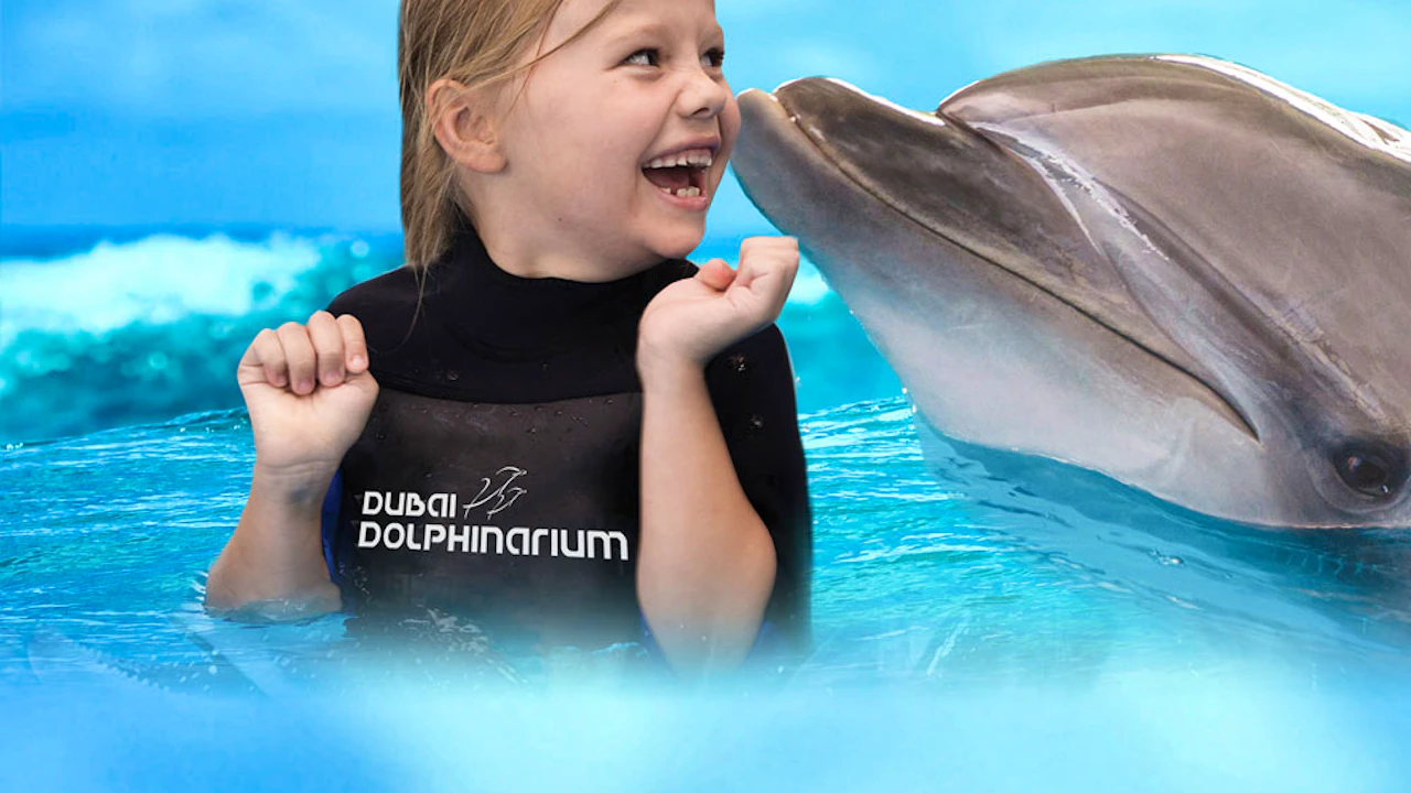 Dubai Dolphinarium  Discount