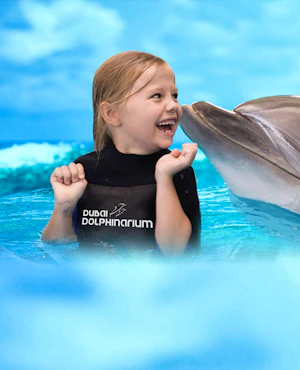 Dubai Dolphinarium: Dolphin & Seal Show