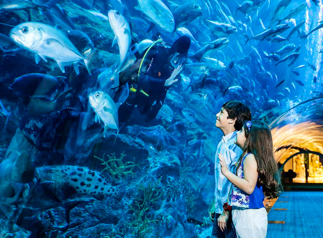 Burj Khalifa Level 124+125 + Dubai Aquarium and Underwater Zoo Location