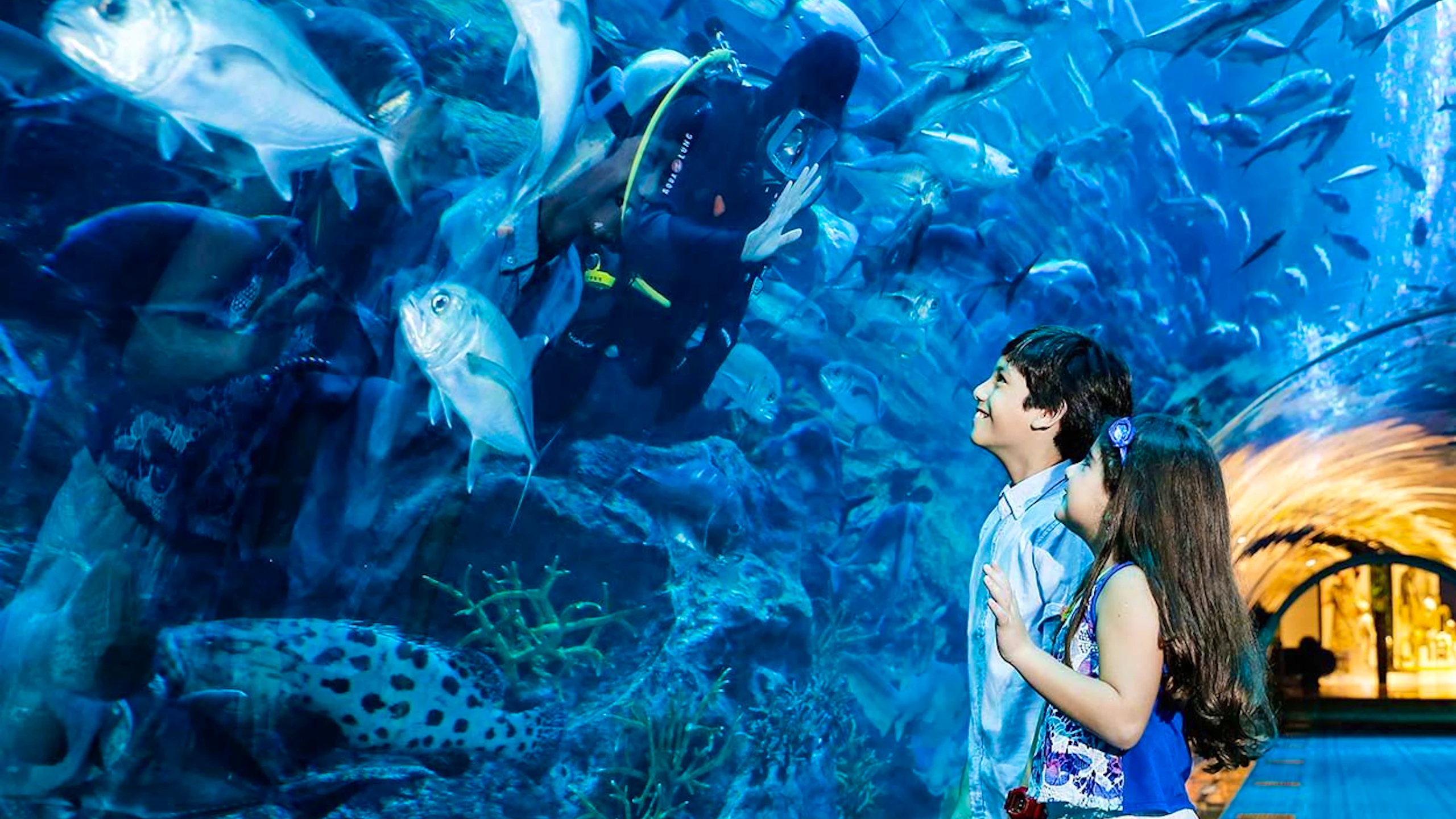 Burj Khalifa Level 124+125 + Dubai Aquarium and Underwater Zoo Location