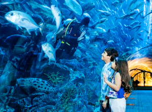 Combo: Burj Khalifa Level 124 &125 with Dubai Aquarium & Underwater Zoo Tickets