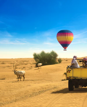 Premium Hot Air Balloon Ride with Falconry, Breakfast and Wildlife Drive