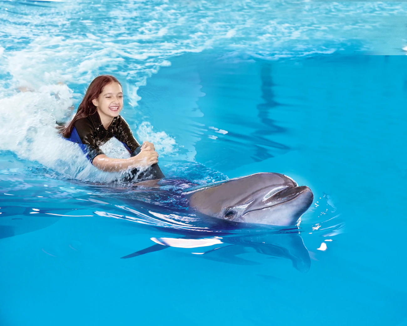 Dubai Dolphinarium: Swimming with Dolphins