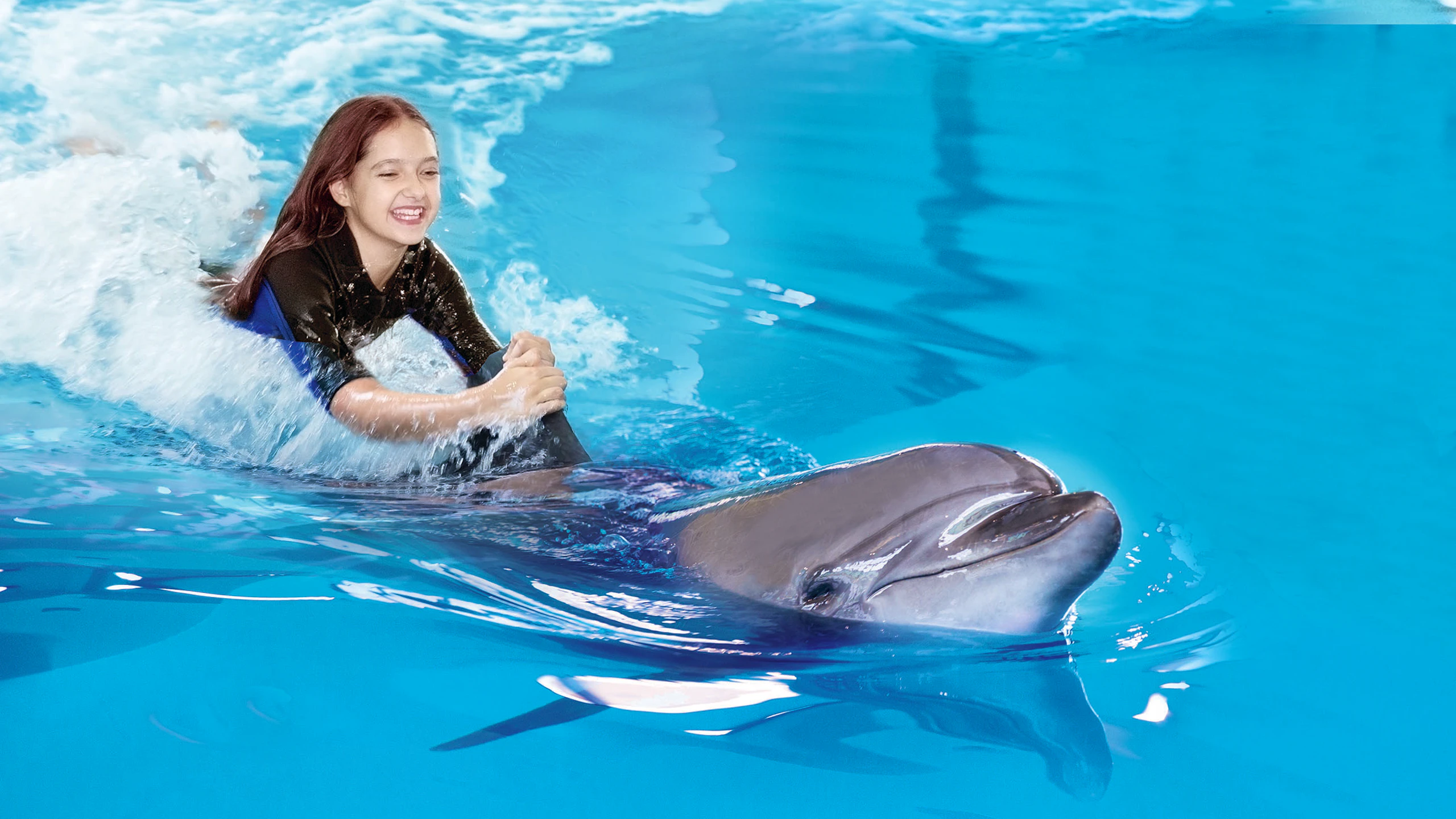 Dubai Dolphinarium: Swimming with Dolphins