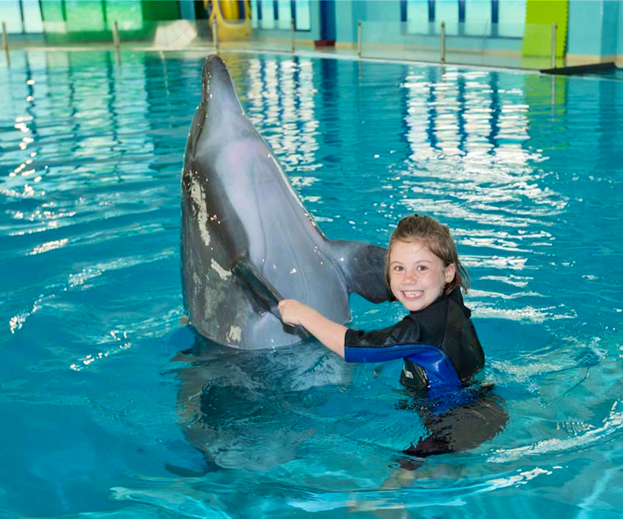 Dubai Dolphinarium: Swimming with Dolphins Discount