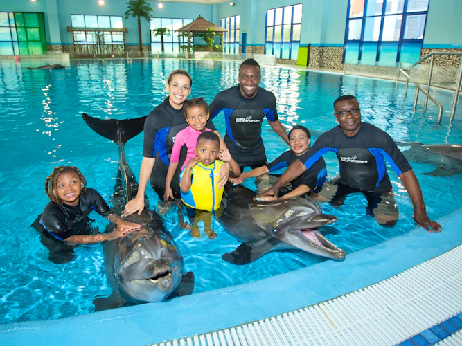 Dubai Dolphinarium: Swimming with Dolphins Location