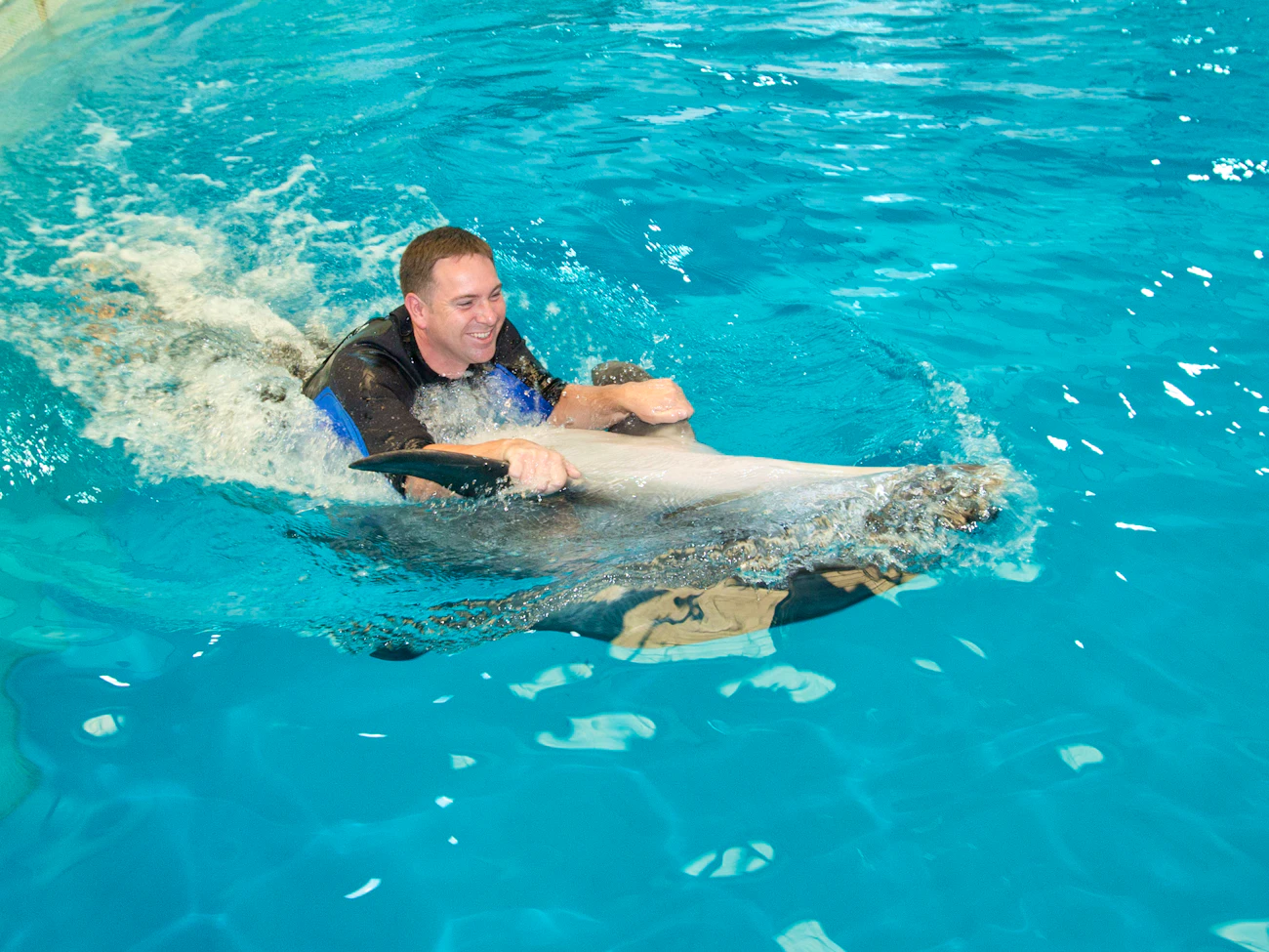 Dubai Dolphinarium: Swimming with Dolphins Ticket
