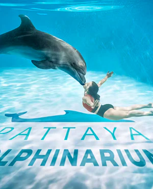 Entry Tickets To Pattaya Dolphinarium