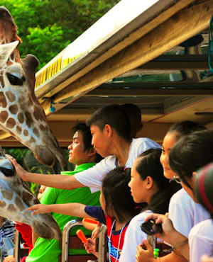 Safari World Bangkok with Private & Shared Transfers