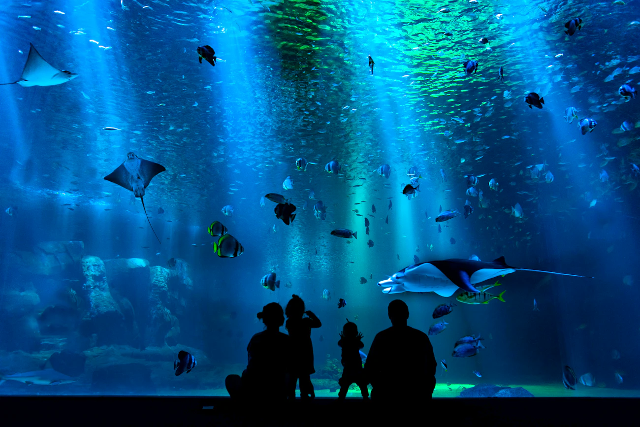 SEA Aquarium VIP Tours Price