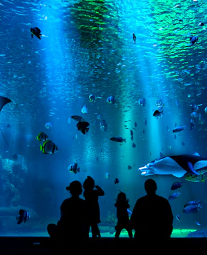 SEA Aquarium Singapore Tours
