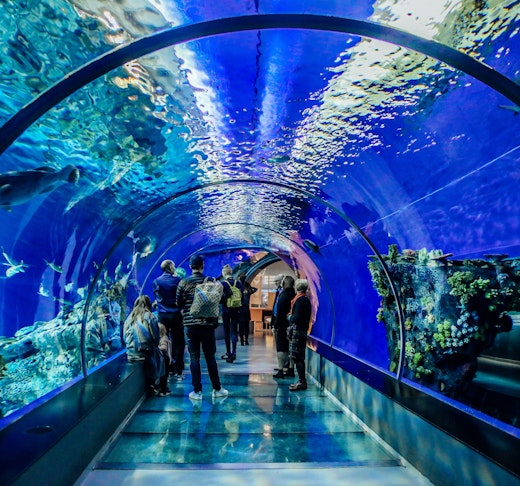 SEA Aquarium VIP Tours Location