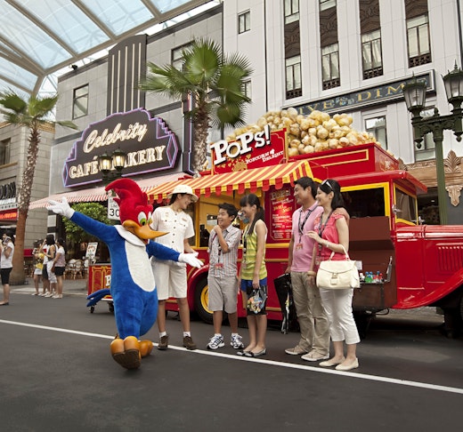 Universal Studios Singapore VIP Experience