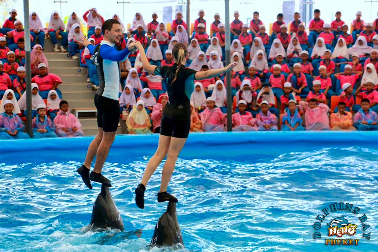 Dolphin Bay - Phuket Dolphin Show Ticket Discount