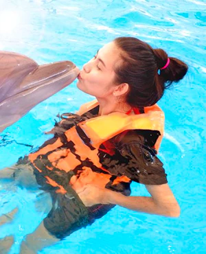 Dolphin Bay - Phuket Dolphin Show Ticket