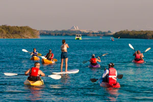 Mangrove National Park Kayaking Tickets - Abu Dhabi