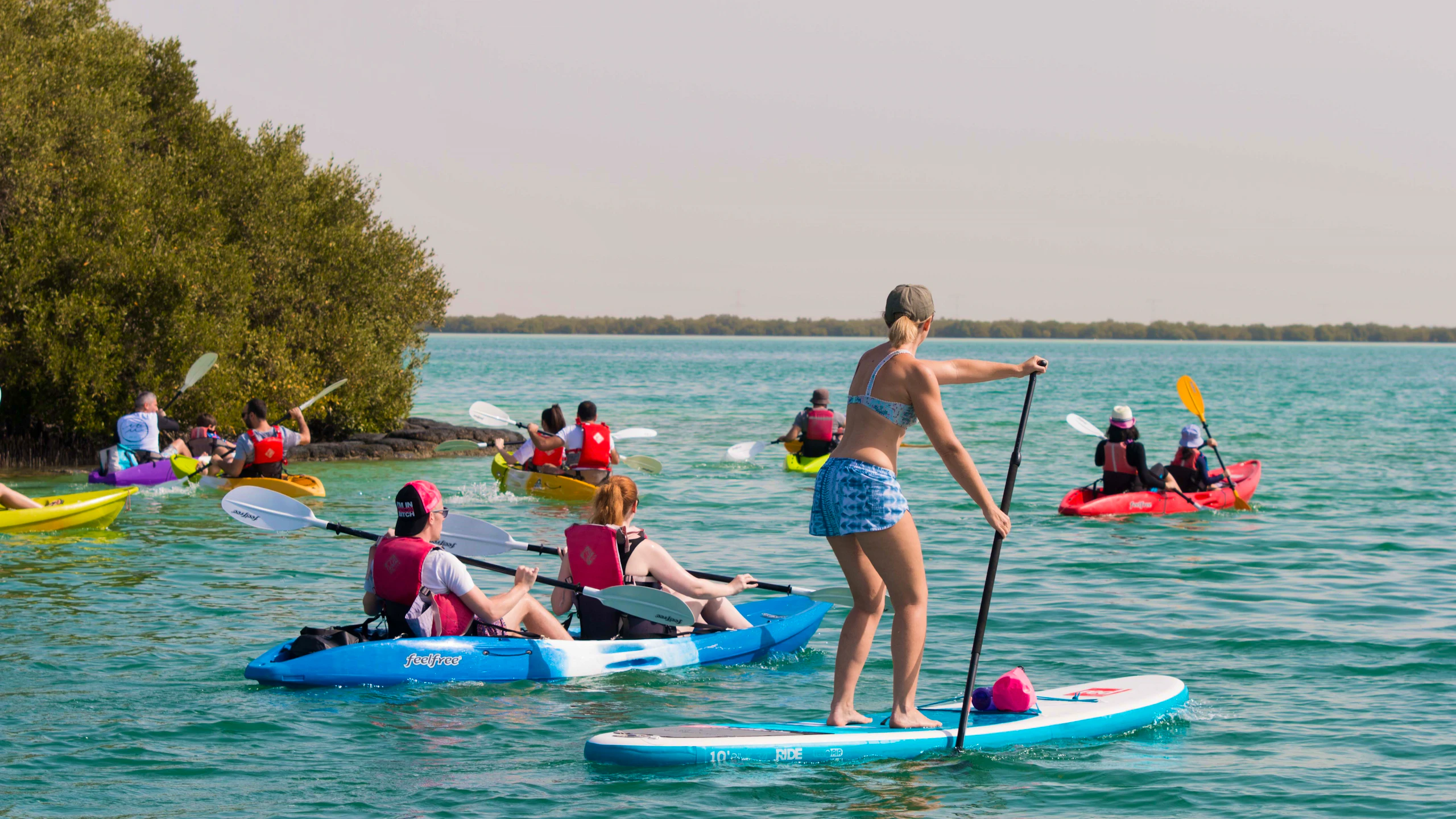 Kayaking through the eastern mangrove national park Ticket