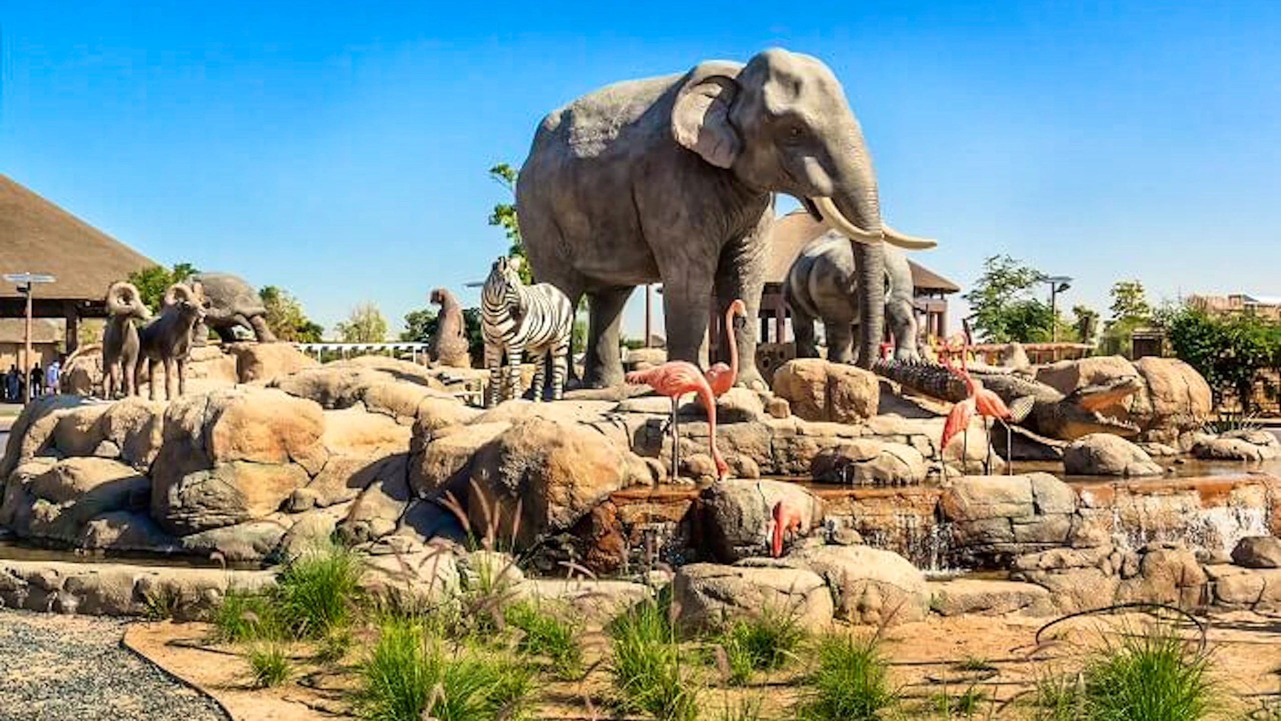 Dubai Safari Park Discount