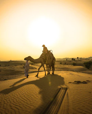 Sunset Camel Trekking With BBQ Dinner