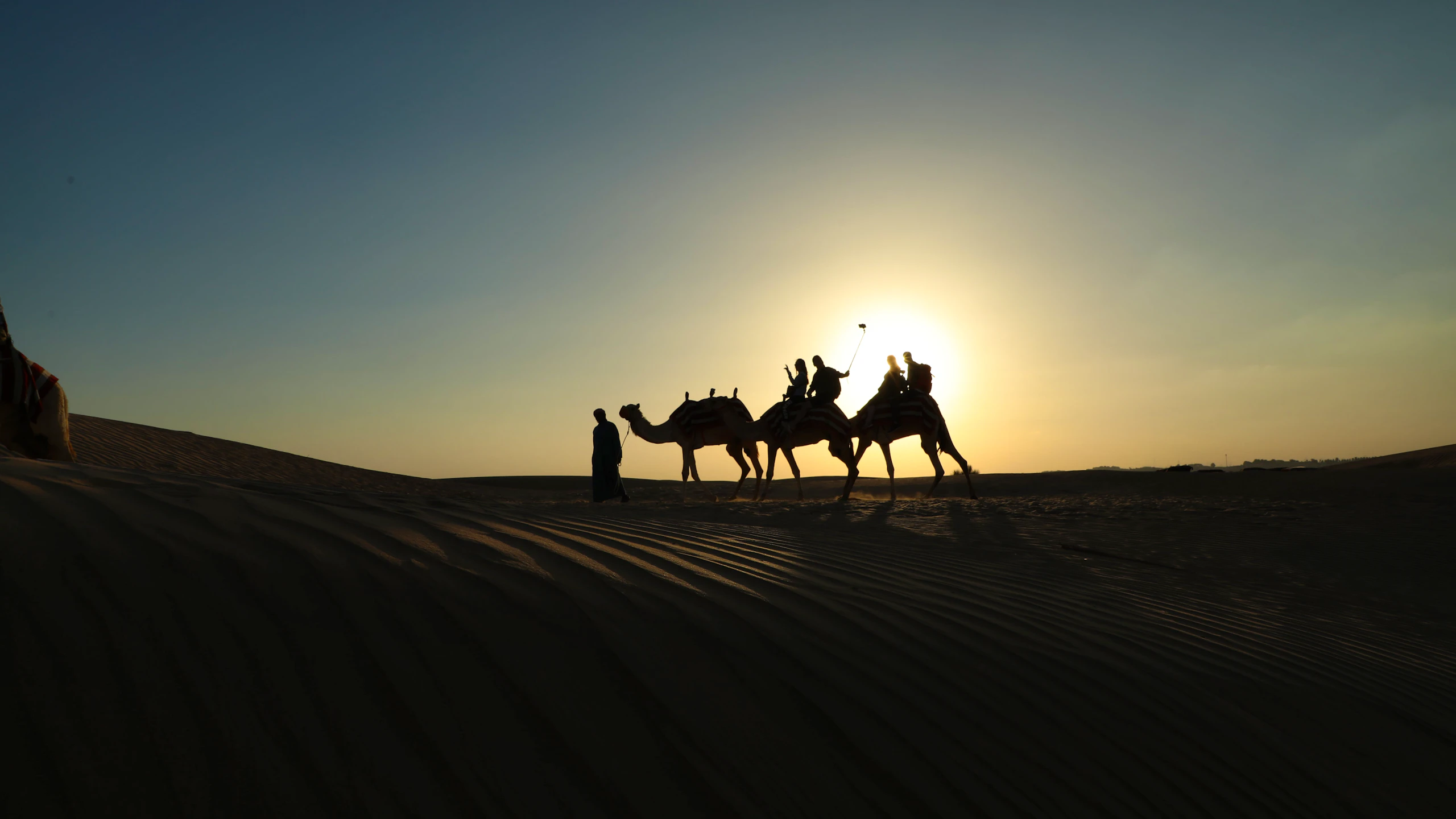 Sunrise Camel Trek With Breakfast