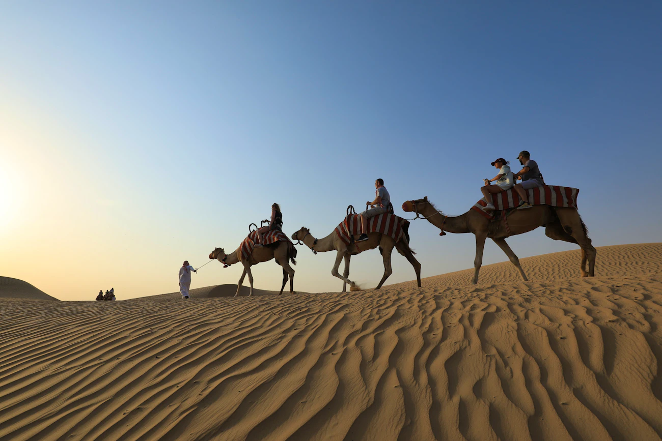 Sunrise Camel Trek With Breakfast Location