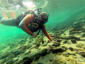 Scuba Diving Fujairah