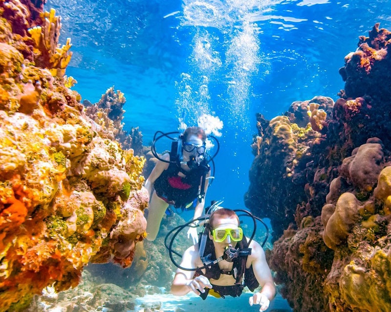 Scuba Diving Fujairah Price