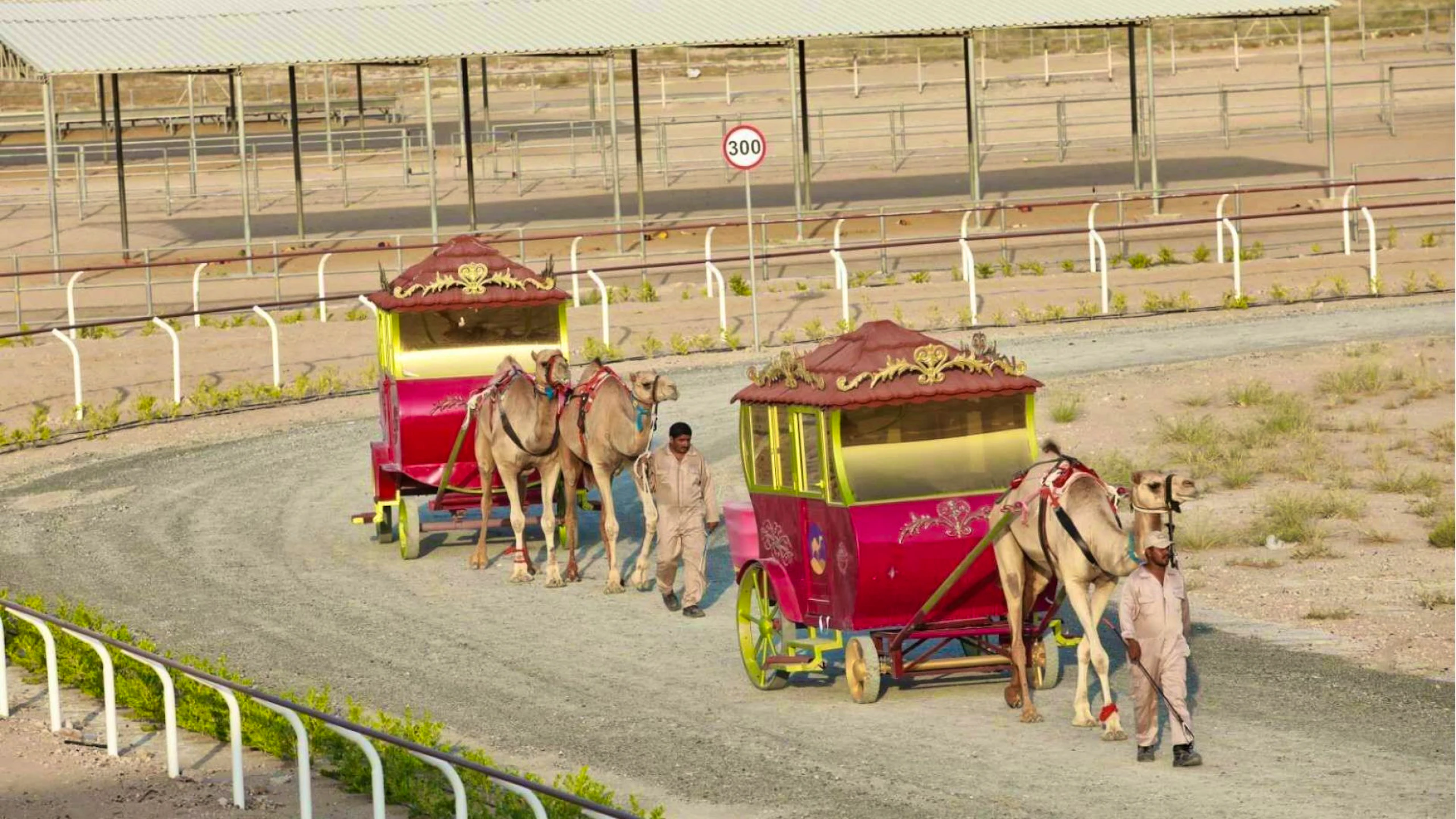 The Royal Camel Race Experience  Location