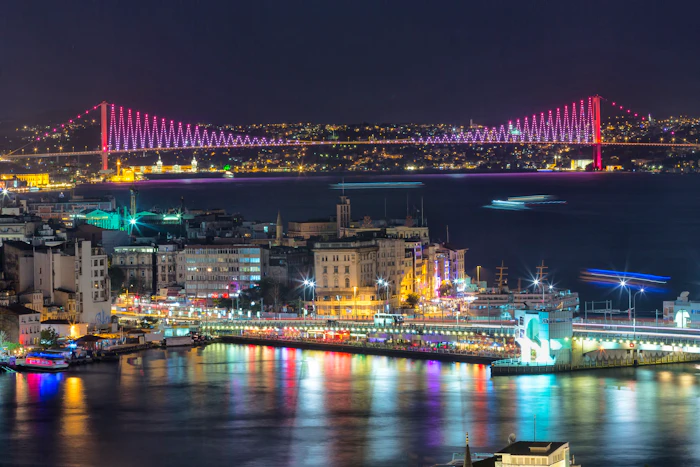 Bosphorus Dinner Cruise with Sightseeing and Show Ticket