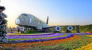 Combo: Miracle Garden and Global Village Tickets  with Transfers