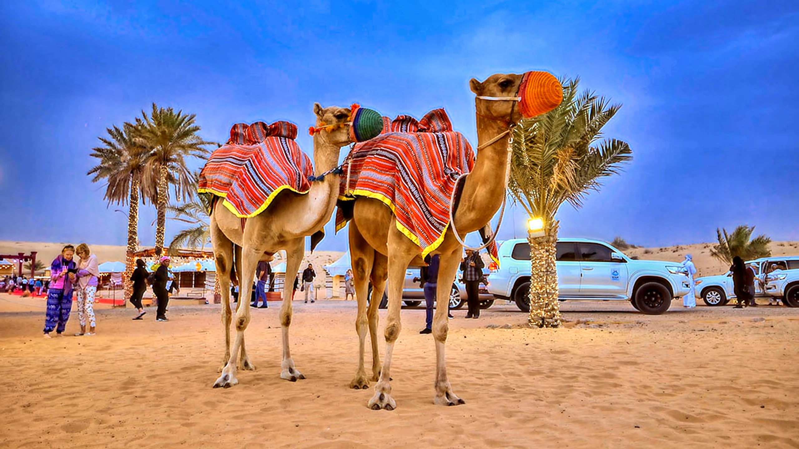 Caravanserai Bedouin Safari & Desert Dinner Experience Ticket