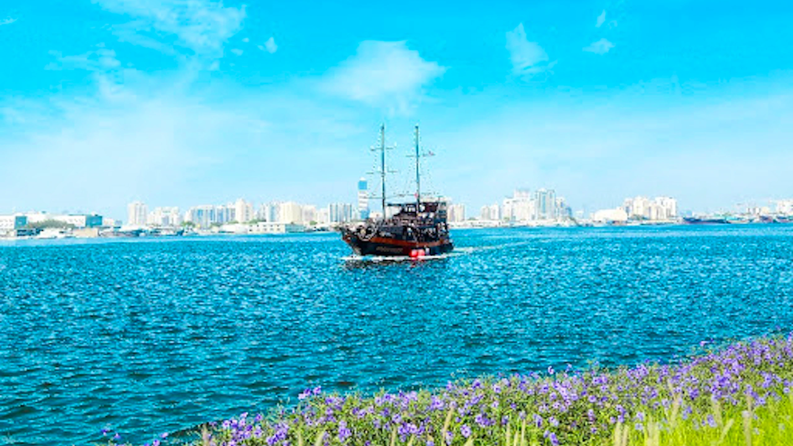 Black Pearl Themed Sightseeing Cruise Discount