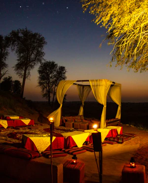 Dine in the Desert at Bedouin Oasis Camp
