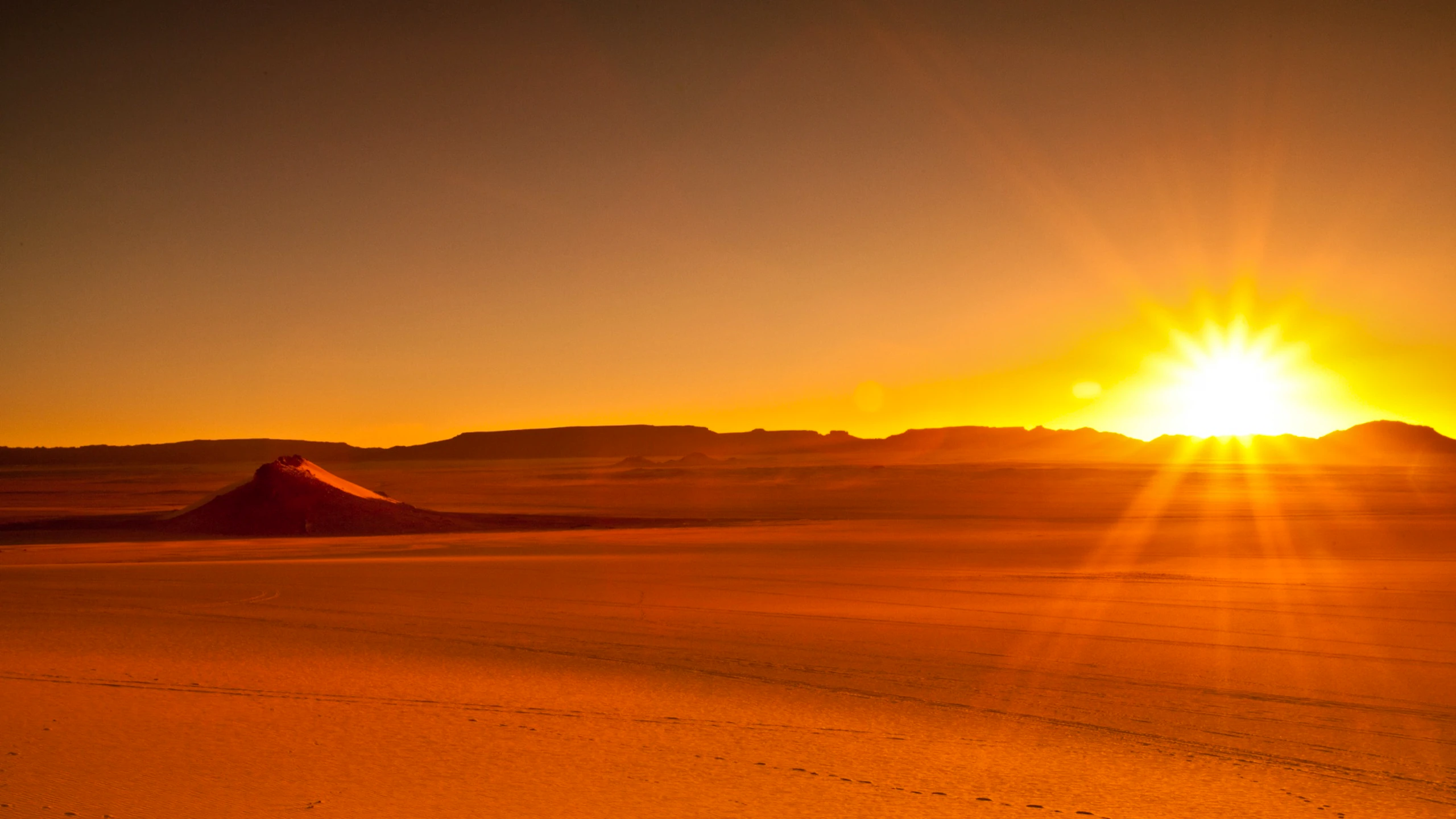 Sunrise Desert Safari Abu Dhabi Ticket
