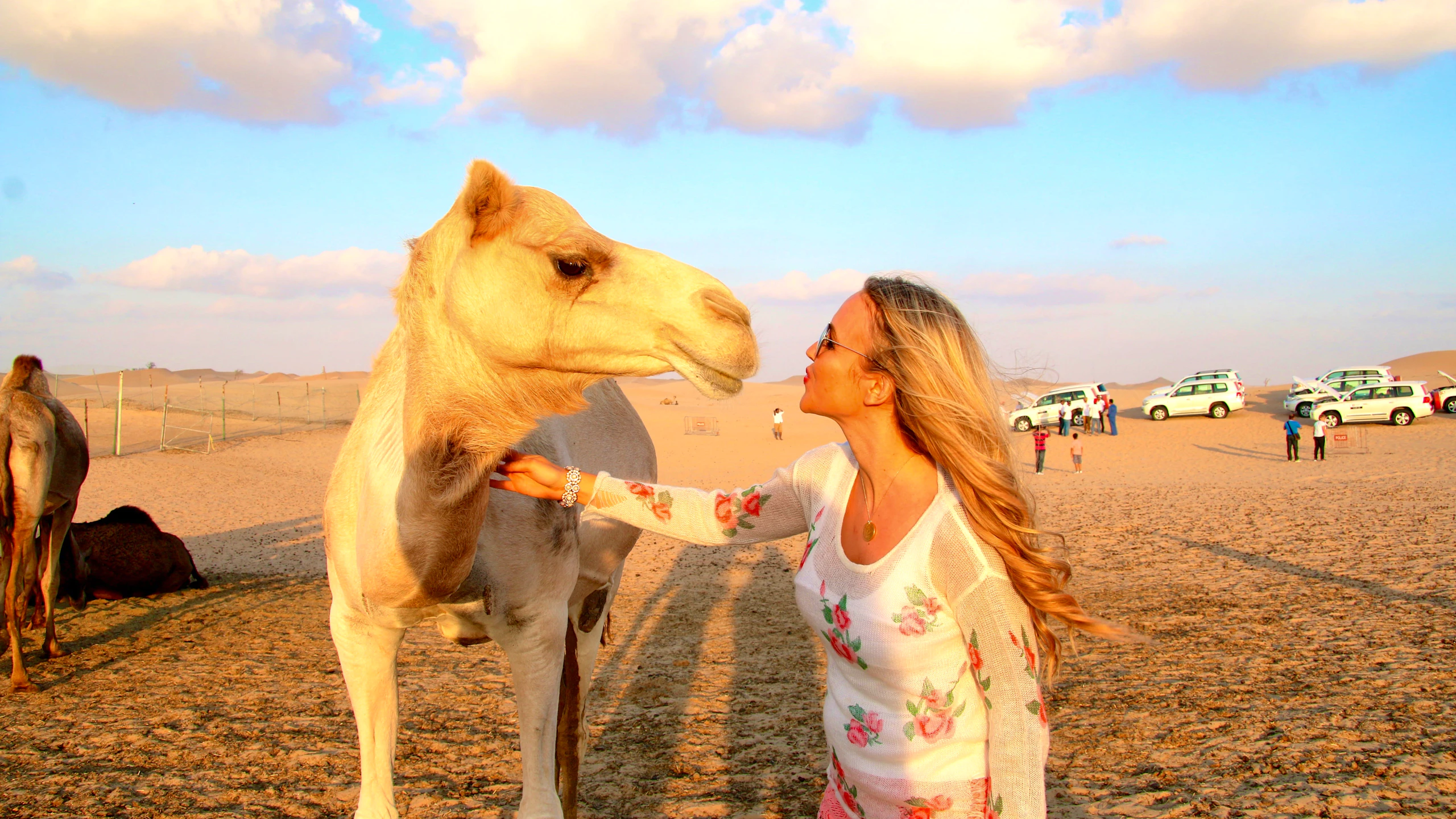 Camel Trekking Abu Dhabi Location