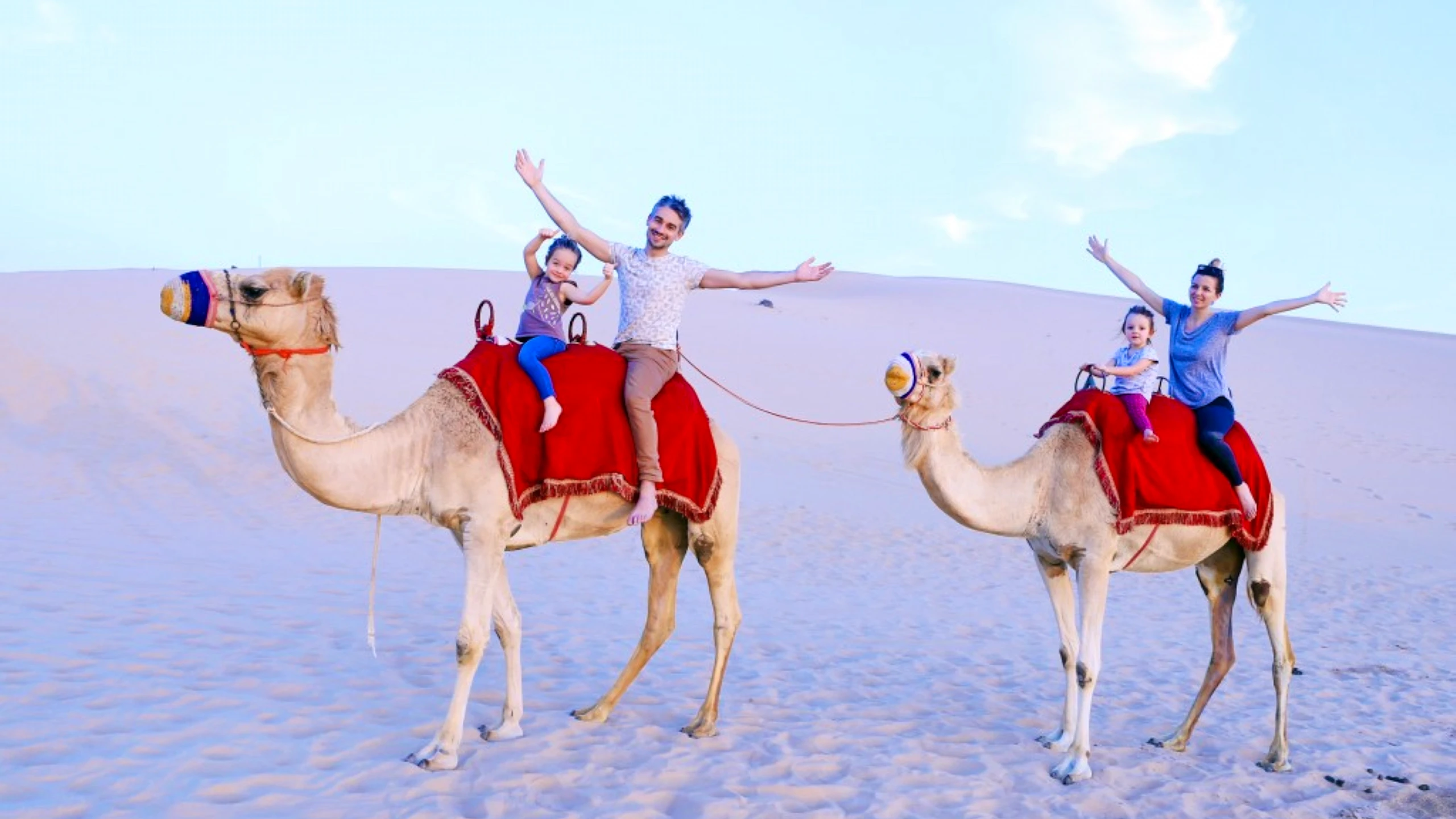 Camel Trekking Abu Dhabi Category