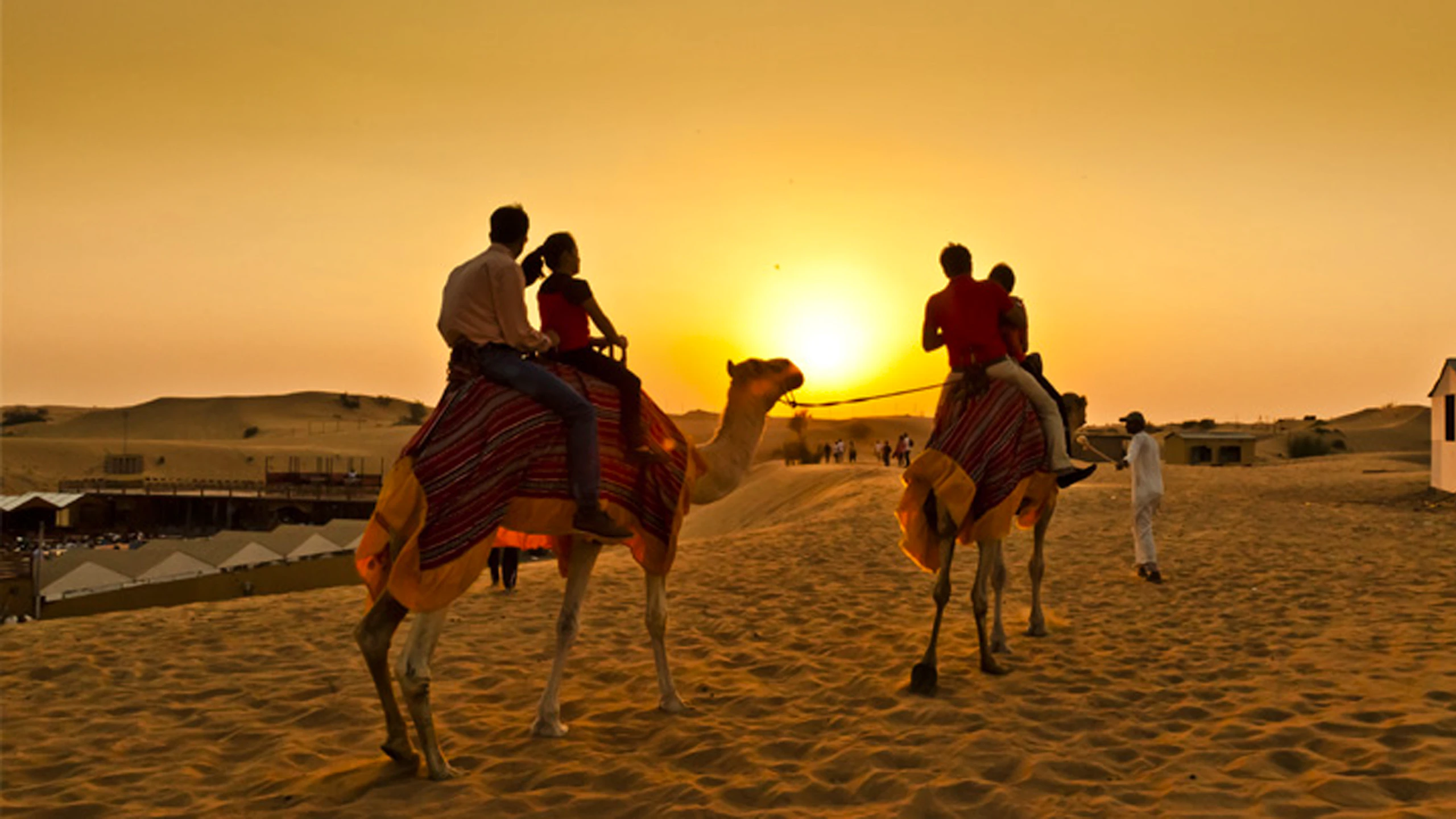Camel Trekking Abu Dhabi Discount