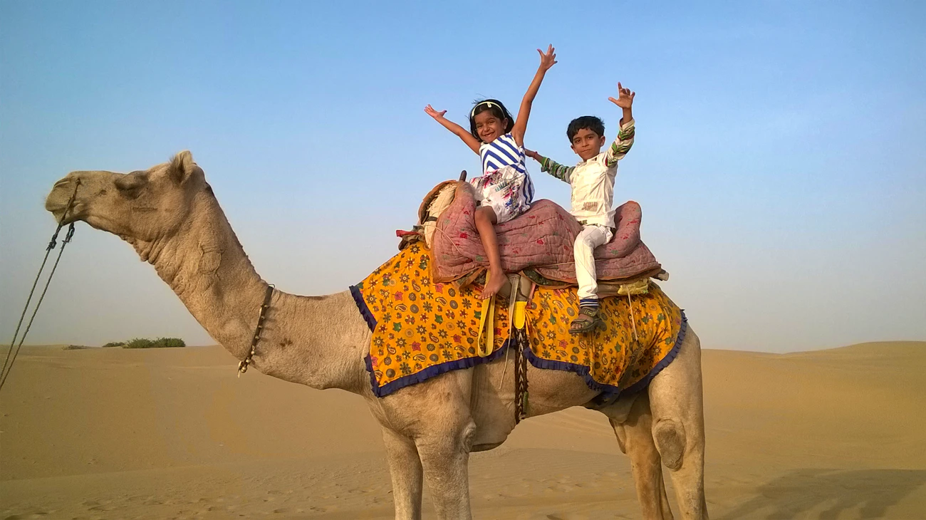 Camel Trekking Abu Dhabi Ticket