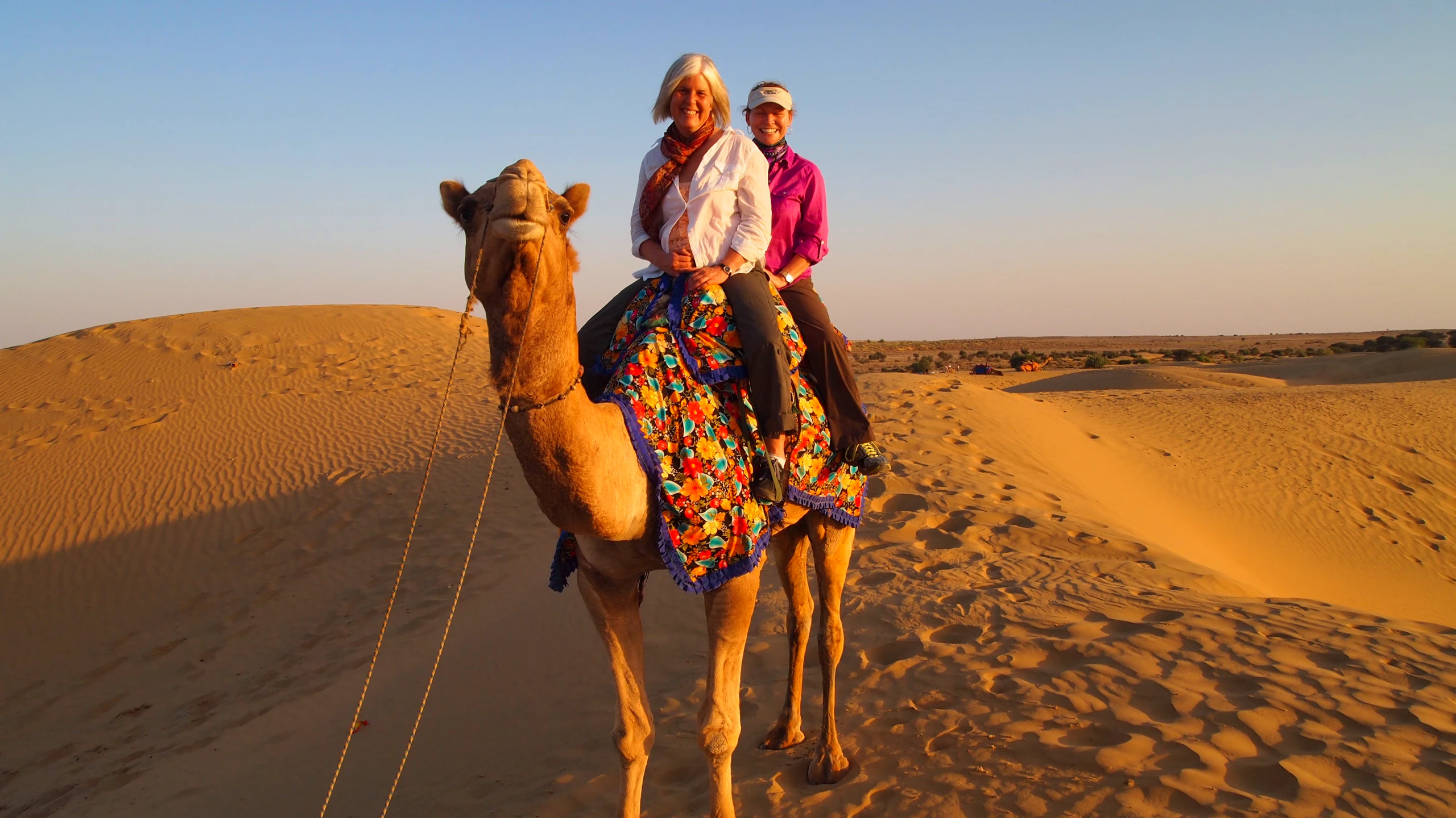 Camel Trekking Abu Dhabi Price