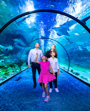National Aquarium Abu Dhabi Tickets